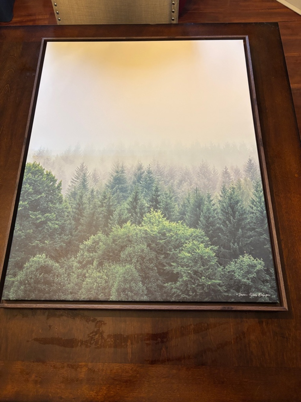 Threshold Forrest framed painting